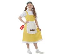 Fun Shack Costume Conte de Fées Enfant, Déguisement Carnaval Fille, Tenue Conte de Fées, M
