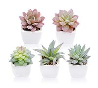 FUNARTY Lot de 5 plantes succulentes artificielles en pot, petites plantes succulentes en pot, mini plantes succulentes en pot en céramique blanche, plantes de bureau pour la maison, la salle de bain,