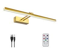 FUNCHDAY Lampe murale à piles 5000 mAh pour tableau, peinture sans fil avec minuterie et intensité variable, lumière d'art en métal de 40,6 cm pour affichage, œuvres d'art, portrait, galerie - Doré