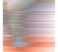 Function - Awakening from The Illusory Self