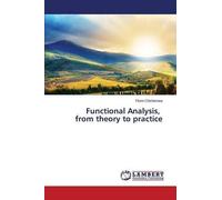 Functional Analysis, From Theory To Practice