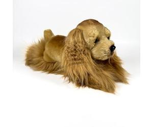 FUNDACIÓN BOCALAN - Peluche Cocker Spaniel couché 25 cm - + 0 Mois (DeQube 939D00297)