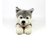 FUNDACIÓN BOCALAN - Peluche Husky couché 25 cm - + 0 Mois (DeQube 939D00295)