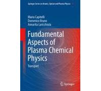 Fundamental Aspects Of Plasma Chemical Physics