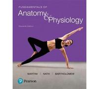 Fundamentals Of Anatomy & Physiology