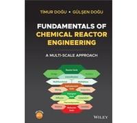 Fundamentals of Chemical Reactor Engineering by Dogu & Gulsen Middle East Technical University & Turkey Dogu Gulsen Middle East Technical University Turkey (Auteur)