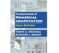 Fundamentals of Numerical Computation by Richard J. Braun Richard J. Braun (Auteur)