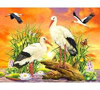 Fundolami Broderie Diamant,Kit de peinture strass 5D Diamant au numéro à réaliser soi-même Cigogne blanche -40x50cm