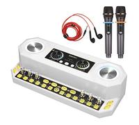 FUNFANG Carte son BT rechargeable - Équipement de diffusion sonore électrique - Boîte de diffusion en direct - Carte son et équipement audio - Carte son et équipement audio et microphone sans fil
