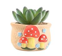 Fungi Bloom Vase - suculent Holder - Garden Cup Holders, Artistic Cups | Ideal for Patio Shelf Office Corner Terrace Indoor Outdoor Plant Styling Decoration Arrangement Greenery Support Small Cactus