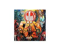 Fungus - The Face of Evil (2lp)