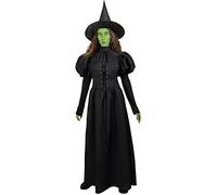 Funidelia | Déguisement Méchante Sorcière de l'Ouest - Le Magicien d'Oz pour femme Déguisement pour Adultes et accessoires pour Halloween, carnaval et fêtes - Taille S - Noir