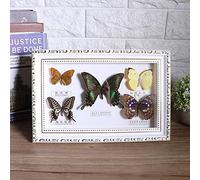 Funien Spécimen Réaliste de 5 Papillons, Ornement de Décoration Intérieure, D'anniversaire avec Cadre Noir pour la Saint-Valentin, Noël, Mariage (cadre blanc)