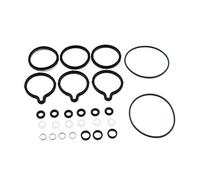 Funien Trousse de réparation, Remplacement pour Vauxhall Diesel Bosch CP1 Kit de réparation de Joints toriques de Pompe à Carburant Haute Pression