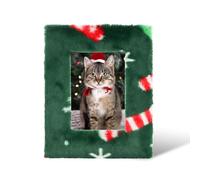 FuninCrea Cadre photo carré en peluche - 20 x 25 cm - Pour mur et plateau de table - Avec support et crochet de suspension - Pour œuvres d'art décoratives - 20 x 25 cm - Vert