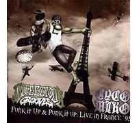 Funk It Up Punk It Up: Live in France 95