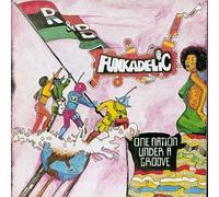 One Nation Under a Groove