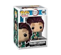 Figurine Pop Animation Demon Slayer Tanjiro Training