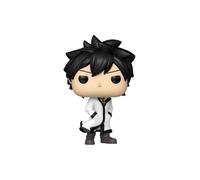 Funko Pop! Animation: Fairy Tail 100 Years Quest - Gray - 1 in 6 Chance of Receiving The Rare Chase Variant - - Styles Vary - Figurine en Vinyle de Collection - Idée Cadeau - Produit Officiel