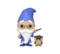 Funko Pop! Disney The Sword in the Stone Merlin with Archimedes CONFIDENTIAL