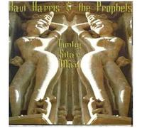 Bill 'ravi' Harris – Funky Sitar Man – Vinyle 12" analogique – Import