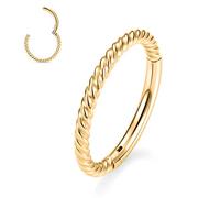 FUNLMO Anneau de nez à charnière en acier chirurgical 316L pour septum, tragus, hélix, conque, rook, daith, bijoux de piercing torsadés pour cartilage, Métal, Pas de gemme
