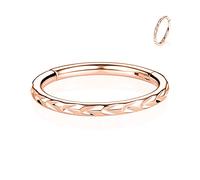 FUNLMO Anneau de nez à charnière en acier chirurgical 316L pour septum, tragus, hélix, rook, conque, daith, cartilage, Métal, Pas de gemme