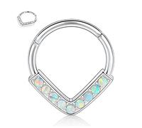 FUNLMO Anneau de septum à charnière en acier chirurgical 316L 16 g pour septum daith tragus helix rook cartilage bijoux, Métal, Autre