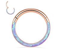 FUNLMO Anneau de septum, daith, rook, hélix, conque, tragus, bijoux de piercing en acier chirurgical 316L, anneau de nez, cartilage, boucle d'oreille 20 g, 18 g, 16 g, 14 g, Métal, Autre