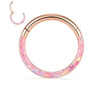 FUNLMO Anneau de septum, daith, rook, hélix, conque, tragus, bijoux de piercing en acier chirurgical 316L, anneau de nez, cartilage, boucle d'oreille 20 g, 18 g, 16 g, 14 g, Métal, Autre