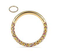 FUNLMO Anneau de septum, daith, rook, hélix, conque, tragus, bijoux de piercing en acier chirurgical 316L, anneau de nez, cartilage, boucle d'oreille 20 g, 18 g, 16 g, 14 g, Métal, Autre
