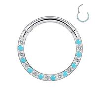 FUNLMO Anneau de septum, daith, rook, hélix, conque, tragus, bijoux de piercing en acier chirurgical 316L, anneau de nez, cartilage, boucle d'oreille 20 g, 18 g, 16 g, 14 g, Métal, Autre