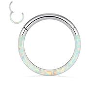 FUNLMO Anneau de septum, daith, rook, hélix, conque, tragus, bijoux de piercing en acier chirurgical 316L, anneau de nez, cartilage, boucle d'oreille 20 g, 18 g, 16 g, 14 g, Métal, Autre
