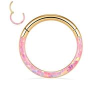 FUNLMO Anneau de septum, daith, rook, hélix, conque, tragus, bijoux de piercing en acier chirurgical 316L, anneau de nez, cartilage, boucle d'oreille 20 g, 18 g, 16 g, 14 g, Métal, Autre