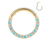FUNLMO Anneau de septum, daith, rook, hélix, conque, tragus, bijoux de piercing en acier chirurgical 316L, anneau de nez, cartilage, boucle d'oreille 20 g, 18 g, 16 g, 14 g, Métal, Autre