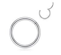 FUNLMO Anneaux de nez à charnière en acier chirurgical 316L 20 g, 18 g, 16 g, 14 g, 12 g, anneaux de piercing sans couture pour nez, septum, cartilage, hélix, tragus, conque, rook, daith, lobe de 6 mm