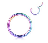 FUNLMO Anneaux de nez à charnière en acier chirurgical 316L 20 g, 18 g, 16 g, 14 g, 12 g, anneaux de piercing sans couture pour nez, septum, cartilage, hélix, tragus, conque, rook, daith, lobe de 6 mm
