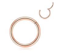 FUNLMO Anneaux de nez à charnière en acier chirurgical 316L 20 g, 18 g, 16 g, 14 g, 12 g, anneaux de piercing sans couture pour nez, septum, cartilage, hélix, tragus, conque, rook, daith, lobe de 6 mm
