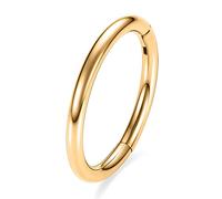 FUNLMO Anneaux de nez à charnière en titane G23 20 g, 18 g, 16 g, 14 g, anneaux de piercing sans couture pour nez, septum, conque, daith, cartilage, hélix, tragus, lobe de rook, diamètre de 6 mm à 14