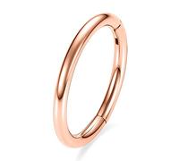 FUNLMO Anneaux de nez à charnière en titane G23 20 g, 18 g, 16 g, 14 g, anneaux de piercing sans couture pour nez, septum, conque, daith, cartilage, hélix, tragus, lobe de rook, diamètre de 6 mm à 14