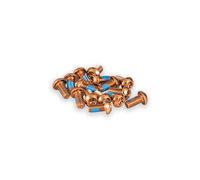 Funn Vis de Disque - 15 pièces Torx T25 M5 x 10mm en Acier pour Disques 6 Trous, Vis de Disque en Acier pour VTT et Vélo de Route (Orange)