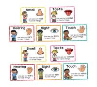 FUNNETOYU 2 Ensembles Preschool Learning Posters Sensory Colors Shapes Flash Cards for Early Education Cognitive Development