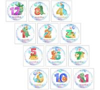 FUNNETOYU Autocollants Étapes Importantes pour Bébé - Lot de 12 Mois Adhésifs en Papier, Accessoires Photo pour -né, Souvenirs Premiers Mois et Suivi Croissance Bébé Fille