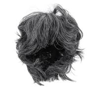 FUNNETOYU Perruque Courte Homme Grise pour Cosplay Perruque Synthétique Décorative pour Fête Halloween Carnaval et Scène Accessoire Déguisement Polyvalent