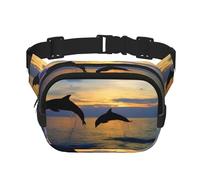 Funny Animal Dauphin Unisexe Réglable Taille Carré Double Couche Sac de Taille pour Activités de Plein Air Voyages Course Randonnée, Noir , Taille unique