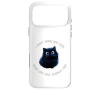 Funny Cat Black Kitty is Hitting You with The Truth Coque pour iPhone 17 Pro Max