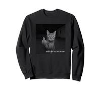 Funny Cat Flipping Off Middle Finger on Security Camera Sweatshirt