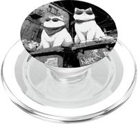 Funny Cat Gangsters Humour Urban Streets New York Graphic PopSockets PopGrip pour MagSafe