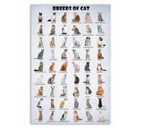 Funny Cat Lovers Poster: Colorful Guide to Different Cat Breeds and Types, Unique Wall Decor for Home, Office, Veterinary Clinic(Unframed,08x12inch(20x30cm))
