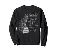 Funny Cat Math Physics Equations Science Humor Sweatshirt